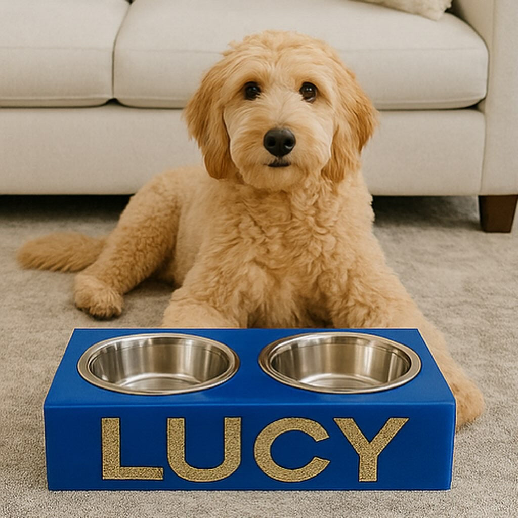 Pet Bowls